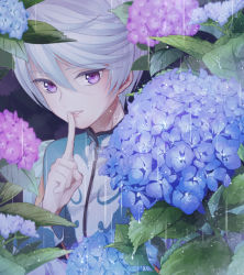 Rule 34 | 10s, 1boy, bishounen, eyelashes, finger to mouth, flower, hair between eyes, hydrangea, ma na roo, male focus, mikleo (tales), plant, purple eyes, rain, short hair, solo, tales of (series), tales of zestiria, white hair