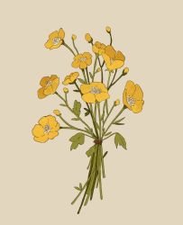 Rule 34 | bouquet, buttercup (flower), commentary, commission, english commentary, flower, grey background, highres, leaf, libbyframe, no humans, original, plant, signature, simple background, still life, yellow flower
