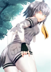 Rule 34 | 10s, 1girl, adjusting clothes, adjusting shorts, ass, bird tail, black gloves, black hair, blush, bodystocking, breast pocket, dappled sunlight, day, embarrassed, fingerless gloves, from behind, gloves, grey hair, grey shirt, grey shorts, hair between eyes, highres, kemono friends, layered sleeves, long hair, long sleeves, looking at viewer, looking back, low ponytail, multicolored hair, necktie, open mouth, orange hair, outdoors, pocket, shade, shin&#039;yashiki, shirt, shoebill (kemono friends), short over long sleeves, short sleeves, shorts, side ponytail, solo, sunlight, tail, tree, tree shade, upper body, white necktie