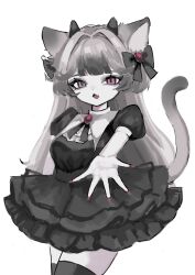 Rule 34 | 1girl, animal ears, black dress, black horns, black ribbon, black thighhighs, blunt bangs, breasts, brooch, cat ears, cat girl, cat tail, cowboy shot, dress, fang, grey hair, hair intakes, hair ribbon, highres, horns, jewelry, long hair, looking at viewer, medium breasts, neck ribbon, open mouth, original, outstretched arm, puffy short sleeves, puffy sleeves, purple eyes, purple nails, reaching, reaching towards viewer, ribbon, shiona (siona0625), short dress, short sleeves, simple background, solo, standing, tail, tail raised, thighhighs, white background, zettai ryouiki