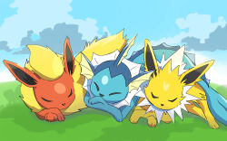 animal_focus closed_eyes creatures_(company) day fins flareon game_freak gen_1_pokemon grass head_fins highres jolteon koma_sk lying nintendo pokemon pokemon_(creature) shadow sleeping vaporeon