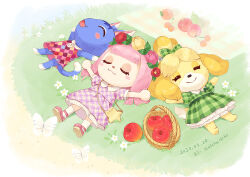 Rule 34 | 3girls, :&gt;, :3, ^ ^, animal crossing, apple, argyle, argyle clothes, argyle dress, artist name, bag, basket, blanket, blonde hair, blunt bangs, blush, blush stickers, bow, bug, butterfly, camellia, cat girl, cherry, closed eyes, closed mouth, collared dress, commentary, dated, dog girl, dress, english commentary, flower, flower wreath, food, fruit, furry, furry female, grass, green bow, green dress, hair bow, head wreath, hime cut, insect, isabelle (animal crossing), lace, lace-trimmed dress, lace trim, long hair, lying, matchaneko, multiple girls, nintendo, on back, on grass, open mouth, orange (fruit), pear, picnic, picnic basket, pink flower, pink footwear, pink hair, plaid, plaid bow, plaid dress, puffy short sleeves, puffy sleeves, purple dress, red dress, red flower, rosie (animal crossing), sand, shoes, short sleeves, shoulder bag, sidelocks, sleeveless, sleeveless dress, smile, socks, star-shaped bag, star (symbol), topknot, villager (animal crossing), white butterfly, white flower, white socks, yellow bag, yellow flower