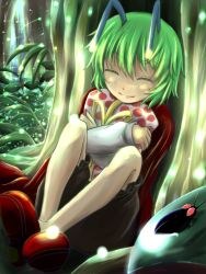 Rule 34 | 1girl, ^ ^, antennae, blush, bug, cape, closed eyes, forest, gift, green hair, highres, nature, hugging object, short hair, smile, solo, tamasan, touhou, wriggle nightbug