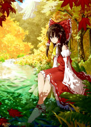 Rule 34 | 1girl, aloo, barefoot, bow, detached sleeves, female focus, forest, hair bow, hakurei reimu, japanese clothes, leaf, miko, mountain, nature, outdoors, plant, sitting, sky, smile, soaking feet, solo, touhou, tree, water