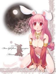Rule 34 | 1girl, amasa mitsunaru, animal ears, bare shoulders, breasts, cleavage, commentary request, detached sleeves, full body, gypsy (ragnarok online), harem pants, jewelry, large breasts, long hair, looking up, necklace, open mouth, pants, pink hair, rabbit ears, ragnarok online, red eyes, red sleeves, see-through, solo, white pants