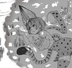 Rule 34 | 10s, 1girl, absurdres, animal ears, bare shoulders, blush, breasts, collarbone, day, elbow gloves, eyebrows, gloves, grass, greyscale, hand on own arm, hands up, high-waist skirt, highres, kemono friends, large breasts, lips, looking afar, lying, megapai, monochrome, on ground, on side, outdoors, parted lips, print gloves, print skirt, scarf, serval (kemono friends), serval print, serval tail, shirt, short hair, skirt, sleeveless, sleeveless shirt, solo, striped tail, sweat, tail, thighhighs, tree shade, zettai ryouiki