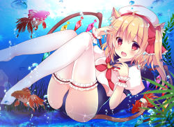 Rule 34 | 1girl, alternate costume, animal ears, blonde hair, bridal garter, cat ears, fish, flandre scarlet, hair ribbon, hat, kemonomimi mode, looking at viewer, one-piece swimsuit, puffy short sleeves, puffy sleeves, red eyes, red ribbon, ribbon, rika-tan (rikatantan), sailor collar, school swimsuit, short sleeves, smile, solo, swimsuit, thighhighs, touhou, underwater, white hat, white thighhighs, wings, wrist cuffs
