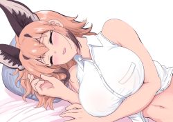 Rule 34 | 1girl, animal ear fluff, animal ears, bare shoulders, bed sheet, blue pillow, blush, breast pocket, breasts, brown hair, buttons, caracal (kemono friends), caracal ears, collared shirt, female focus, highres, kemono friends, large breasts, lying, mamiyama, medium hair, midriff, multicolored hair, navel, open mouth, orange hair, pillow, pocket, shirt, simple background, sleeping, sleeveless, sleeveless shirt, smile, upper body, white background, white shirt