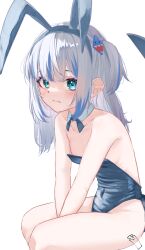 Rule 34 | 1girl, animal ears, bare shoulders, blue eyes, blue hair, blue leotard, blush, closed mouth, commentary, covered navel, fake animal ears, fins, fish tail, flat chest, gawr gura, grey hair, highleg, highleg leotard, highres, hololive, hololive english, leotard, long hair, looking at viewer, multicolored hair, playboy bunny, rabbit ears, shark tail, simple background, sitting, solo, streaked hair, tachibana shiori (suica 112), tail, two side up, virtual youtuber, white background