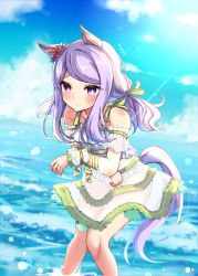 Rule 34 | 1girl, alternate costume, alternate hairstyle, animal ears, blush, cloud, commentary request, highres, horse ears, horse girl, looking at viewer, mejiro mcqueen (ripple fairlady) (umamusume), mejiro mcqueen (umamusume), ocean, purple eyes, purple hair, sky, solo, soramuko, swimsuit, swimsuit under clothes, umamusume, when you see it