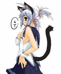 Rule 34 | 1girl, animal ears, black eyes, blue hair, cat ears, cat tail, from side, hand on own hip, hand on own chest, original, petite, sidelocks, solo, tail, takano saki, tongue, tongue out