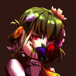 Rule 34 | 1girl, ascot, black background, close-up, flower, green hair, hair flower, hair ornament, highres, itocoh, kazami yuuka, lily (flower), lily of the valley, plaid, plaid vest, portrait, red eyes, rose, short hair, solo, touhou, vest