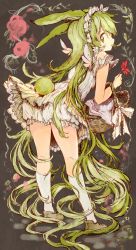 Rule 34 | 1girl, absurdres, angel wings, animal ears, bloomers, camomi, dress, flower, frilled dress, frills, from behind, green eyes, green hair, headdress, highres, holding, holding flower, kneehighs, leaning forward, long hair, original, picnic basket, rabbit ears, rabbit tail, shoes, socks, solo, tail, underwear, very long hair, white dress, white socks, wings