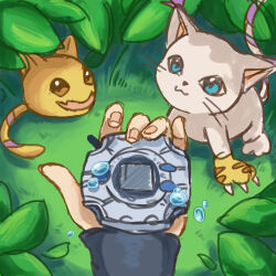 Rule 34 | animal ears, cat, cat ears, digimon, digimon (creature), digivice, gloves, highres, holy ring, nyaromon, tail, tailmon
