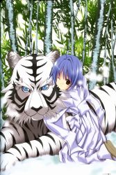 Rule 34 | 00s, 1girl, absurdres, aquarian age, artbook, bow, highres, japanese clothes, kimono, nanase aoi, nature, one eye closed, outdoors, seven colors of the wind, snow, solo, tabi, tiger, wink