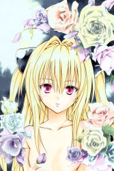Rule 34 | blonde hair, flower, highres, konjiki no yami, solo, tagme, to love-ru, yabuki kentarou