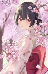 Rule 34 | 1girl, black hair, blush, branch, check commentary, cherry blossoms, closed mouth, commentary, commentary request, flower, hair rings, highres, idolmaster, idolmaster shiny colors, japanese clothes, kimono, long sleeves, looking at viewer, morino rinze, obi, petals, pink kimono, pony (shihyo-6591), red eyes, sash, short hair, smile, solo, tree