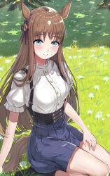 Rule 34 | 1girl, absurdres, animal ears, black footwear, blue eyes, blue skirt, blush, breasts, brown hair, commentary request, ear ornament, grass, grass wonder (umamusume), highres, horse ears, horse girl, horse tail, long hair, medium breasts, multicolored hair, on grass, on ground, outdoors, pleated skirt, puffy short sleeves, puffy sleeves, seiza, shadow, shirt, short sleeves, sitting, skirt, smile, solo, streaked hair, tail, take978733141, umamusume, white hair, white shirt