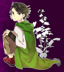 Rule 34 | 1boy, ankle boots, black hair, boots, capri pants, flipped hair, flower, full body, hood, hoodie, kamen rider, kamen rider w, legs folded, legs together, long sleeves, looking at viewer, looking back, male focus, open mouth, pants, philip, philip (kamen rider), plant, purple background, red footwear, shoes, short hair, silhouette, simple background, sitting, solo, yakisoba14