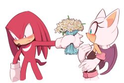 Rule 34 | 1boy, 1girl, animal ears, animal nose, aqua eyes, bare shoulders, bat wings, black bodysuit, blush, bodysuit, bouquet, eyelashes, flower, from side, furry, furry female, furry male, giving, gloves, hand on own chest, holding, holding bouquet, knuckles the echidna, red eyes, rouge the bat, sleeveless, sonic (series), spiked gloves, tail, toonsite, white background, white flower, white gloves, wings