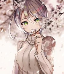 Rule 34 | 1girl, bad id, bad twitter id, breasts, cherry blossoms, flower, gambe, green eyes, grey sweater, hair between eyes, hand up, holding, holding flower, long sleeves, looking at viewer, medium breasts, original, petals, pretty series, pripara, ribbed sweater, shikyoin hibiki, short hair, signature, silver hair, smelling flower, solo, sweater, turtleneck, turtleneck sweater, upper body