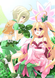 Rule 34 | 10s, blonde hair, bow, cardfight!! vanguard, clover, dress, fairy, flower, four-leaf clover, four leaf fairy, frills, green hair, hair ornament, maiden of rainbow wood, midriff, minazoi kuina, neo nectar, pink dress, pink eyes, pointy ears, shoes, shorts, thighhighs, wings, yellow eyes