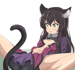 Rule 34 | 10s, 1girl, animal ear fluff, animal ears, bike shorts, black hair, black shorts, blush, breasts, cat ears, cat tail, collar, green eyes, hair between eyes, isekai maou to shoukan shoujo no dorei majutsu, long hair, looking at viewer, lying, metal collar, miniskirt, on back, parted lips, purple skirt, rem galleu, shorts, simple background, sincos, skirt, small breasts, solo, spread legs, tail, white background