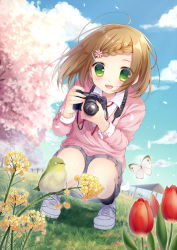 Rule 34 | 1girl, :d, ahoge, bird, black socks, blush, braid, brown hair, bug, butterfly, collared shirt, day, dutch angle, flower, grass, green eyes, grey skirt, hair ornament, hairclip, insect, kneehighs, long sleeves, okazaki milte, open mouth, original, outdoors, petals, pleated skirt, red flower, shirt, shoes, skirt, smile, sneakers, socks, solo, squatting, sweater, tareme, tulip, white shirt, wind, yellow flower