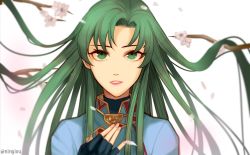 Rule 34 | 1girl, bad id, bad twitter id, cherry blossoms, fire emblem, fire emblem: the blazing blade, green eyes, green hair, kyou (ningiou), long hair, looking at viewer, lyn (fire emblem), nintendo, smile