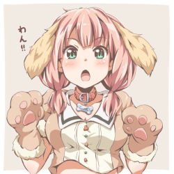 Rule 34 | 1girl, animal collar, animal ears, animal hands, bang dream!, barking, beige background, blush, brown shirt, collar, dog ears, gloves, green eyes, hands up, looking at viewer, low twintails, medium hair, midriff peek, open mouth, paw gloves, pink hair, red collar, riai (onsen), shirt, solo, translation request, twintails, uehara himari, upper body