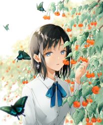 Rule 34 | 1girl, animal, black hair, blue butterfly, blue eyes, blue neckwear, blue ribbon, bug, butterfly, dress shirt, earrings, flower, hand up, highres, holding, holding flower, insect, jewelry, long sleeves, looking at viewer, original, parted lips, ribbon, shirt, short hair, solo, tadano yukiko, upper body, white shirt