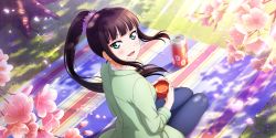 Rule 34 | 1girl, absurdres, artist name, artist request, black hair, blue pants, breasts, cherry blossom fairy (love live!), female focus, floating hair, flower, from behind, green eyes, green jacket, hair flower, hair ornament, high ponytail, highres, jacket, kurosawa dia, long hair, long sleeves, looking at viewer, looking back, love live!, love live! school idol festival, love live! school idol festival all stars, love live! sunshine!!, medium breasts, mole, mole under mouth, pants, petals, picnic, pink flower, pink petals, ponytail, purple flower, sideboob, sitting, solo, sparkle