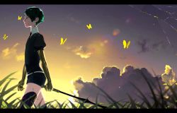 Rule 34 | 1other, androgynous, artist request, bad id, bad twitter id, black necktie, bug, butterfly, cloud, colored eyelashes, cowboy shot, crack, from side, gem uniform (houseki no kuni), glint, golden arms, grass, green eyes, green hair, highres, houseki no kuni, insect, letterboxed, necktie, outdoors, phosphophyllite, sad, scenery, short hair, sky, solo, sparkle, spoilers, sunset, sword, weapon