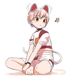 Rule 34 | 1girl, :3, animal ears, barefoot, bell, bug, butterfly, calico, cat ears, cat girl, cat tail, choker, closed mouth, commentary request, crop top, full body, goutokuji mike, highres, indian style, insect, jingle bell, kashiwa kona, light smile, looking at animal, multicolored clothes, multicolored hair, multicolored shirt, multicolored shorts, multicolored tail, neck bell, orange eyes, patchwork clothes, puffy short sleeves, puffy sleeves, shirt, short hair, short sleeves, shorts, simple background, sitting, solo, streaked hair, tail, toes, touhou, v arms, white background, white hair