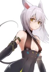 Rule 34 | 1girl, 3 (sanyako1), animal ears, arknights, bare shoulders, black dress, black gloves, breasts, brown eyes, cleavage, cleavage cutout, closed mouth, clothing cutout, dress, elbow gloves, expressionless, gloves, grey hair, highres, long hair, looking at viewer, mole, mole under mouth, mouse ears, mouse girl, mouse tail, scavenger (arknights), simple background, sleeveless, sleeveless dress, small breasts, solo, tail, teeth, upper teeth only, white background