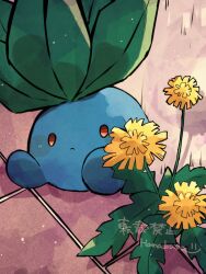 Rule 34 | artist name, blue skin, closed mouth, colored skin, commentary request, creatures (company), flower, frown, game freak, gen 1 pokemon, hanabusaoekaki, highres, leaf, nintendo, no humans, oddish, plant, pokemon, pokemon (creature), red eyes, yellow flower