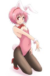 Rule 34 | 1girl, :q, ahoge, animal ears, black pantyhose, blush, bow, bowtie, breasts, covered navel, detached collar, fake animal ears, female focus, full body, hand on own thigh, high heels, highres, leotard, mel (melty pot), nonohara yuzuko, pantyhose, pink eyes, pink hair, playboy bunny, rabbit ears, rabbit tail, red bow, red bowtie, simple background, sitting, small breasts, solo, tail, tongue, tongue out, white background, wrist cuffs, yuyushiki