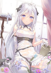 Rule 34 | 1girl, :o, animal, arm at side, arm support, bare shoulders, belt, black footwear, black ribbon, blue flower, blush, bottomless, cat, curtains, day, detached sleeves, dress, flower, frills, from below, gloves, highres, holding, indoors, lily (flower), looking at viewer, maid, maid headdress, mary janes, messy, moe2022, mole, mole under eye, neck ribbon, original, parufeito, pink flower, purple eyes, purple flower, ribbon, see-through, shoe dangle, shoes, single detached sleeve, sitting, solo, thighhighs, vase, water, water drop, wet, wet clothes, white dress, white gloves, white hair, white thighhighs, window