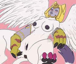 Rule 34 | anus, black anus, black nipples, black pussy, cat, cat tail, claws, colored nipples, digimon, digimon (creature), digimon adventure 02, gloves, on back, lying on ground, nefertimon, nipples, pawpads, pink background, pussy, tail, wings, wrist guards