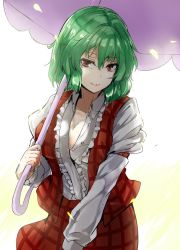 Rule 34 | 1girl, arm strap, ascot, bloom, breasts, cleavage, closed mouth, collarbone, cowboy shot, green hair, hair between eyes, highres, juliet sleeves, kazami yuuka, large breasts, leaning forward, long sleeves, looking at viewer, one-hour drawing challenge, open clothes, open vest, parasol, plaid, plaid skirt, plaid vest, puffy sleeves, red eyes, short hair, skirt, skirt set, smile, solo, touhou, umbrella, vest, y2
