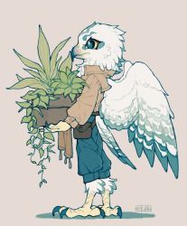 Rule 34 | 1boy, artist name, beak, bird boy, bird legs, bird tail, bird wings, black eyes, blue pants, brown jacket, carrying, colored sclera, feathered wings, feathers, from side, full body, furry, furry male, grey background, highres, holding, holding plant, jacket, leaf, long sleeves, male focus, original, owl boy, pants, plant, potted plant, pouch, profile, shuini xiaomao, signature, simple background, solo, standing, tail, talons, white feathers, wings, yellow sclera