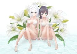 Rule 34 | 2girls, absurdres, ahoge, animal ear fluff, animal ears, bikini, blush, braid, breasts, brown hair, cleavage, collarbone, commentary request, flower, flower request, fox ears, fox girl, green eyes, hair between eyes, hand on own chest, highres, holding hands, hololive, knees up, lily (flower), long hair, looking at viewer, medium breasts, miyanya ru, multiple girls, natsuiro matsuri, partially submerged, ponytail, shirakami fubuki, side-tie bikini bottom, sidelocks, simple background, single braid, sitting, small breasts, smile, swimsuit, virtual youtuber, water, white background, white bikini, white hair
