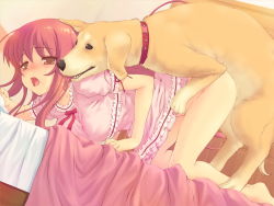 Rule 34 | 1girl, aikawa miku, all fours, barefoot, bent over, bestiality, blush, breasts, brown eyes, censored, clothed sex, daisuke (one-lover), delta (delta0127), dog, doggystyle, feet, game cg, kneeling, large breasts, long hair, okiyumi kase, one-lover, open mouth, penis, pink hair, saliva, sex, sex from behind, tongue, top-down bottom-up, vaginal