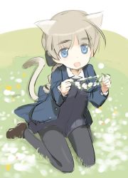 Rule 34 | 1girl, animal ears, blonde hair, blue eyes, braid, cat ears, cat tail, familiar, head wreath, lynette bishop, pantyhose, shimada fumikane, solo, strike witches, sweater, tail, world witches series