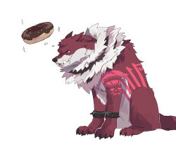 Rule 34 | absurdres, animal focus, animalization, arm tattoo, armlet, charlotte katakuri, chocolate doughnut, commentary, dog, doughnut, drooling, food, frown, fur scarf, highres, hungry, ks lobos, one piece, red eyes, red fur, scarf, simple background, sitting, sparkle, spiked armlet, sprinkles, stitches, tattoo, teeth, thinking, white background, white fur
