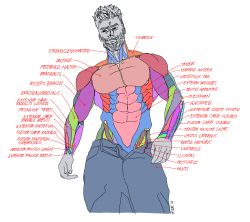 Rule 34 | 1boy, abs, anatomy, beard, biceps, contrapposto, cowboy shot, diagram, english text, facial hair, facing viewer, gigachad (meme), highres, latin text, male focus, manly, mature male, meme, muscular, muscular male, obliques, open fly, original, pants, pectorals, pikat, solo, twitter username, upper body, white background