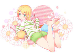 Rule 34 | 1girl, :t, aqua eyes, barefoot, blonde hair, casual, character doll, eating, feet, flower, food, from behind, full body, hair ornament, hairclip, hood, hoodie, kagamine len, kagamine rin, looking at viewer, looking back, lying, on stomach, pocky, short hair, short shorts, shorts, sleeves past wrists, soles, solo, taranboman, toes, vocaloid, white background