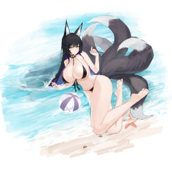 Rule 34 | 1girl, absurdres, animal ears, azur lane, ball, beach, beachball, bikini, black bikini, black hair, breasts, facepaint, fox ears, fox girl, fox tail, from above, front-tie bikini top, front-tie top, full body, half-closed eyes, hands up, highres, hip focus, huge breasts, kitsune, legs folded, long hair, looking at viewer, looking up, lying, multicolored hair, multiple tails, musashi (azur lane), navel, ocean, on ground, on side, outdoors, purple hair, smile, solo, starfish, suo bu ye feng, swimsuit, tail, thighs, two-tone hair, very long hair, yellow eyes