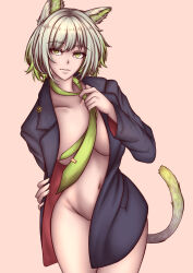 Rule 34 | 1girl, animal ears, aquaaqua, arknights, cat ears, cat tail, convenient censoring, green eyes, highres, kal&#039;tsit (arknights), multicolored hair, necktie, tail, two-tone hair