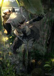 Rule 34 | 1girl, aardwolf (kemono friends), aardwolf print, animal ears, arm up, bare shoulders, black eyes, black hair, black necktie, black shorts, closed mouth, cutoffs, day, elbow gloves, fisheye, full body, furrowed brow, gloves, grey hair, hair between eyes, hand to own mouth, hand up, high ponytail, highres, kemono friends, leaning forward, lips, long hair, looking to the side, multicolored hair, necktie, nervous, outdoors, pantyhose, pantyhose under shorts, plant, print gloves, print pantyhose, print shirt, shirt, shoes, short shorts, shorts, sleeveless, sleeveless shirt, solo, standing, tail, takami masahiro, twitter username, two-tone hair